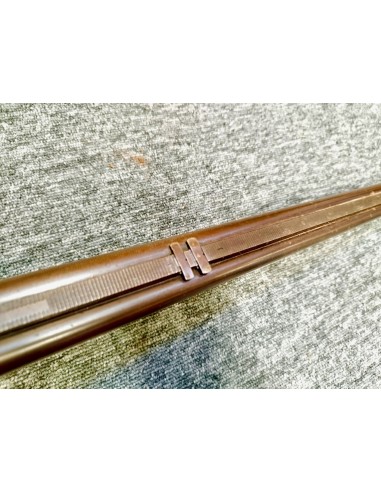 BEAU FUSIL MIXTE DE LUXE A CHIENS...