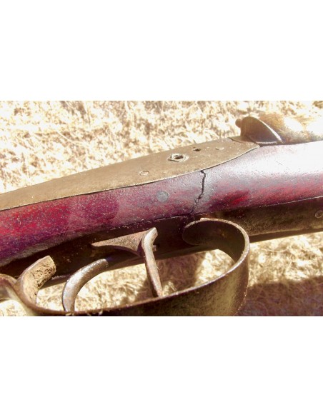 FUSIL DE CHASSE JUXTAPOSE A PERCUSSION CROSSE POLYCHROME.