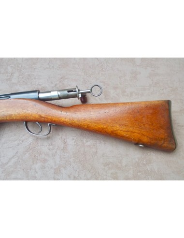 BEAU FUSIL SCHMIDT-RUBIN Mle 1889.