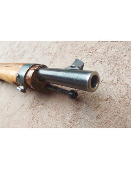 CARABINE STEYR Mle 1895.