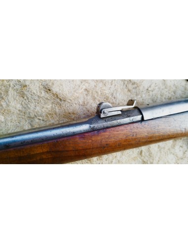 RARISSIME FUSIL VETTERLI DE CADET.