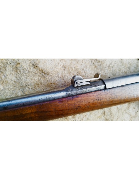 RARISSIME FUSIL VETTERLI DE CADET.