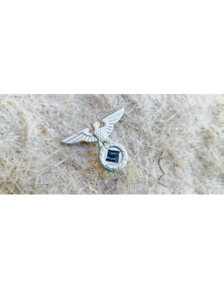 AIGLE DE SCHIRMMUTZE NSDAP.