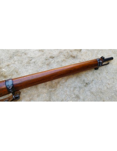 FUSIL SCHMIDT-RUBIN Mle 1889.